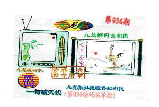 036期九龙报[图]